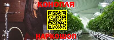 дживик Бийск