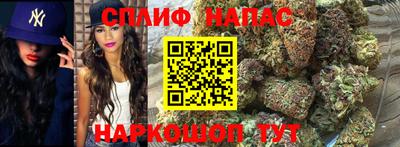 молекула духа Берёзовский