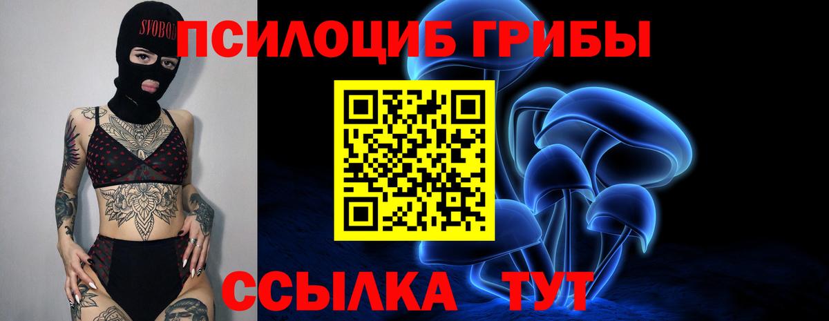 Псилоцибиновые грибы Cubensis  Псилоцибиновые грибы Psilocybe  Кимовск  купить наркотик  Вход с VPN 